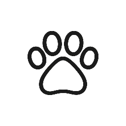My Blog about my dog Alfi